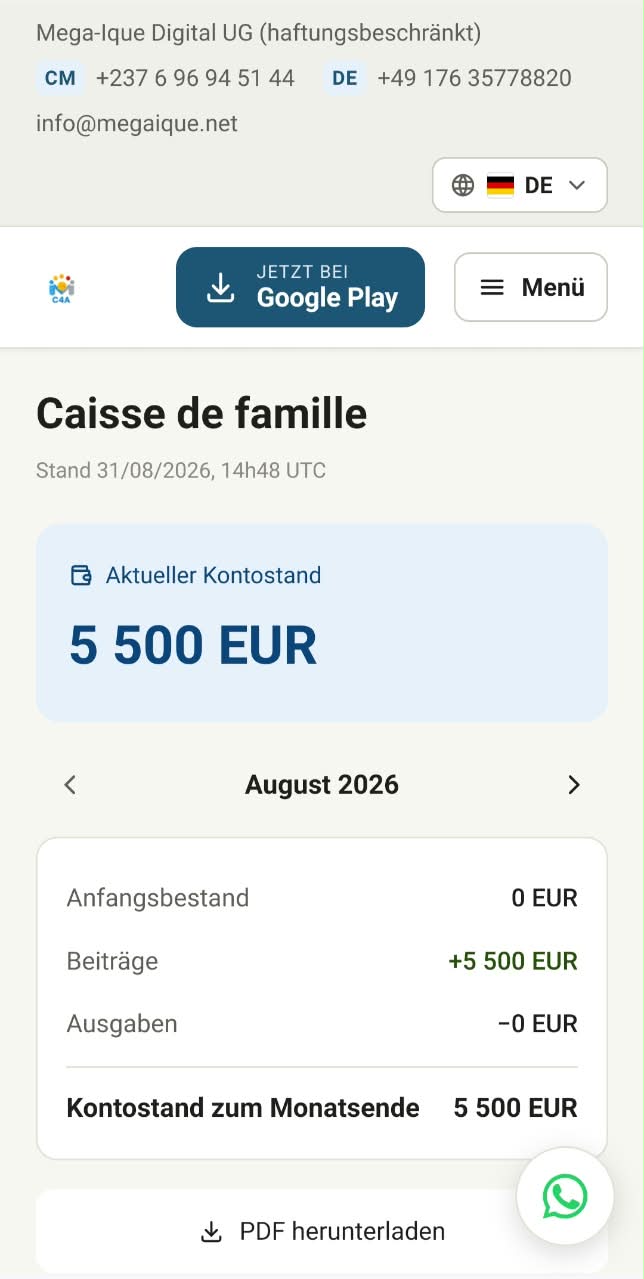 Öffentliche Webseite der Kassenauszüge